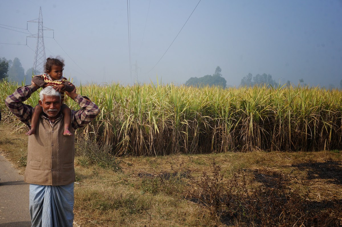 Understanding open defecation in rural India: Pollution, latrine pits, and untouchability